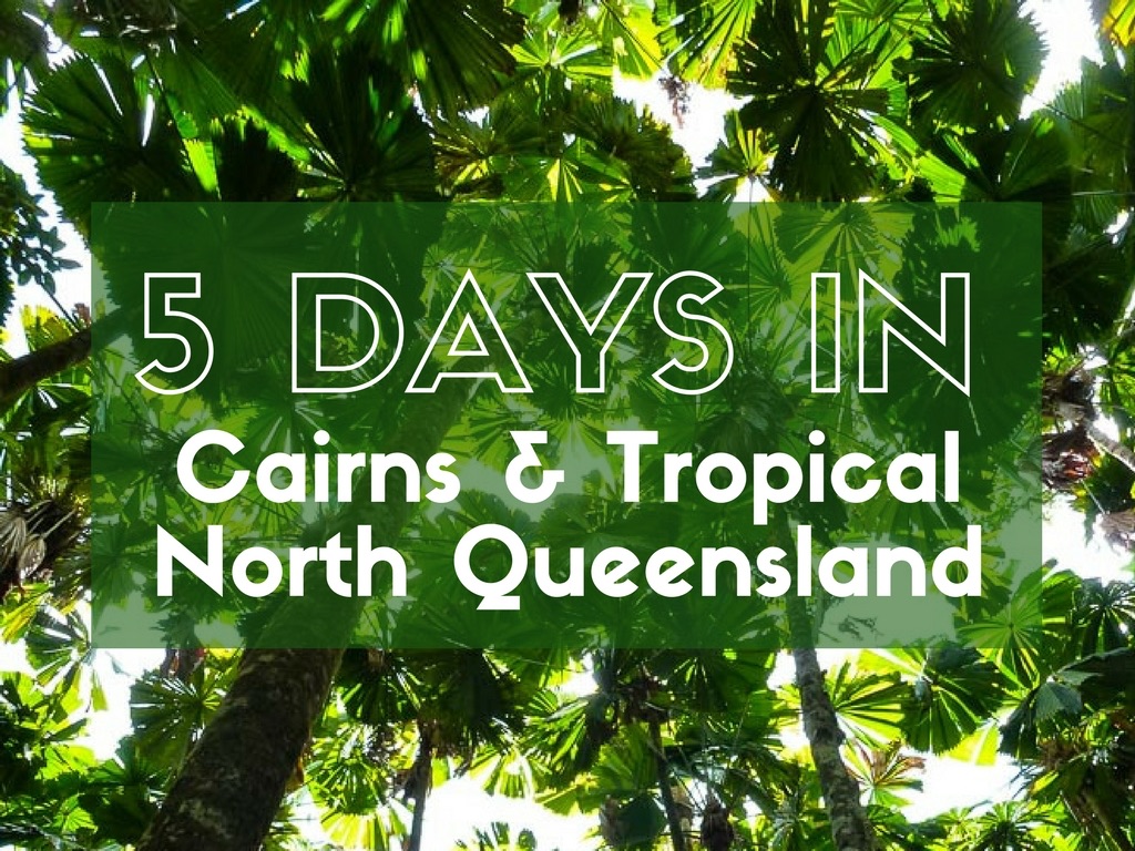 Expat Getaways 5 Days in Cairns and Tropical North Queensland.