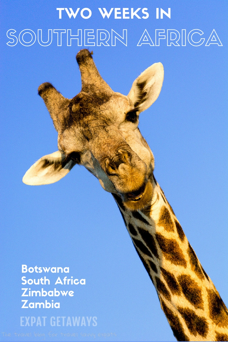 Expat Getaways has planned the perfect two week itinerary for Southern Africa. Covering Botswana, South Africa, Zimbabwe and Zambia and visiting the highlights of Victoria Falls, Chobe, Okavango Delta and Cape Town. Use this to plan your next Africa travel!