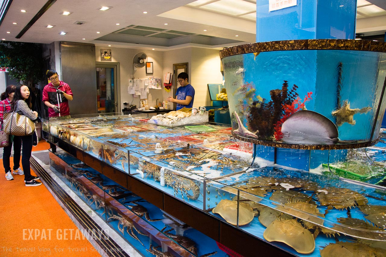 Seafood shopping at Lie Yue Mun. Expat Getaways, First Time Hong Kong Survival Guide - Chinese food. 