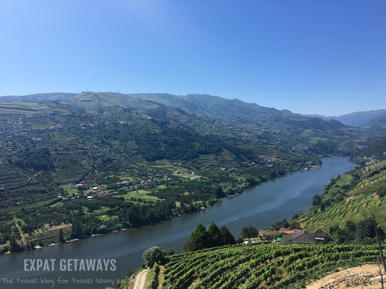 With scenery like this it is hard not to fall in love with the Douro Valley, Portugal. The amazing port is an added bonus!