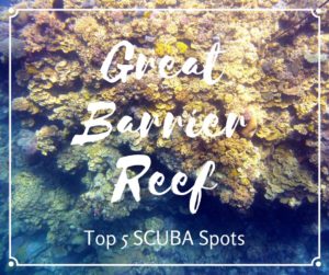 Top scuba spots on the Great Barrier Reef