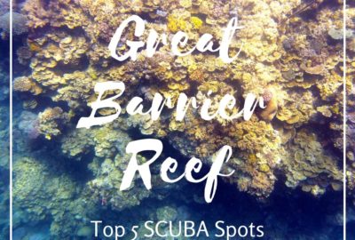 Top scuba spots on the Great Barrier Reef