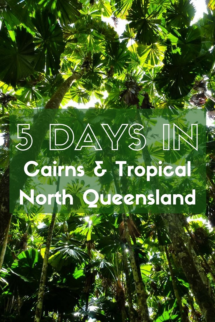 Five days in Cairns and Tropical North Queensland is just long enough to give you a taste of the amazing things this region has to offer. Explore the Great Barrier Reef, Daintree Rainforest, ancient Indigenous culture and a thriving city scene all on this whirlwind itinerary. 