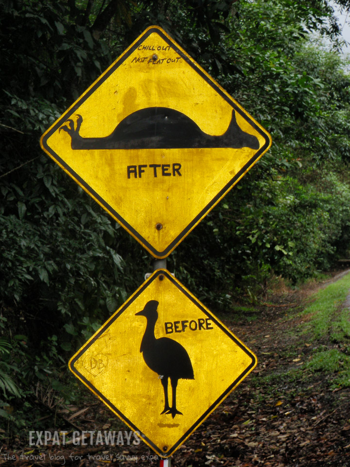 Chill out not flat out! A graffitied road sign leading up to Cape Tribulation. If you're lucky you'll spot a rare cassowary on the drive north from Cairns. 