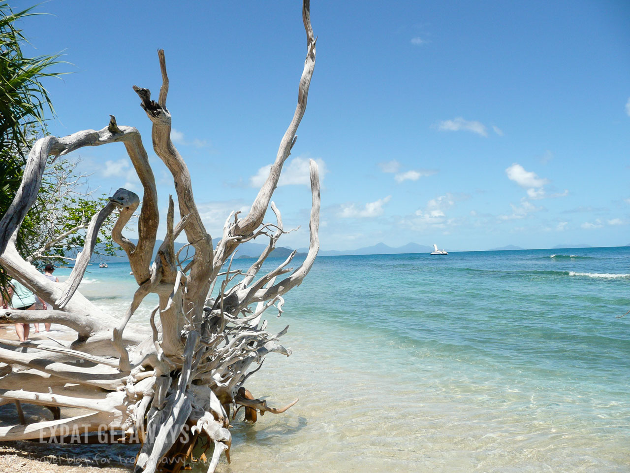 Not many visitors venture south of Cairns to Frankland Island. The untouched beaches are perfect for snorkelling. 