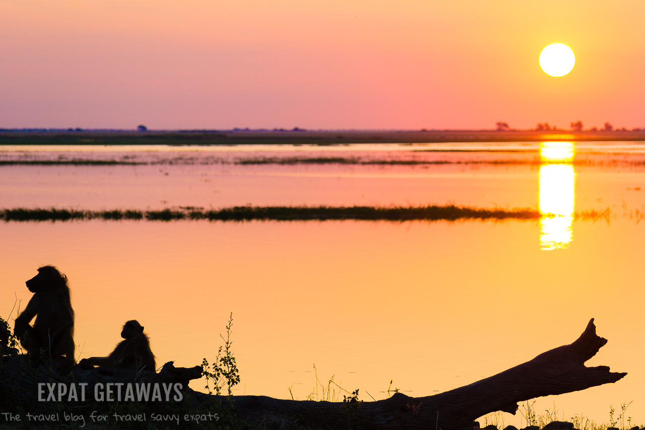 Botswana and Chobe National Park certainly know how to turn on a good sunset! Expat Getaways 2 Weeks Southern Africa. 