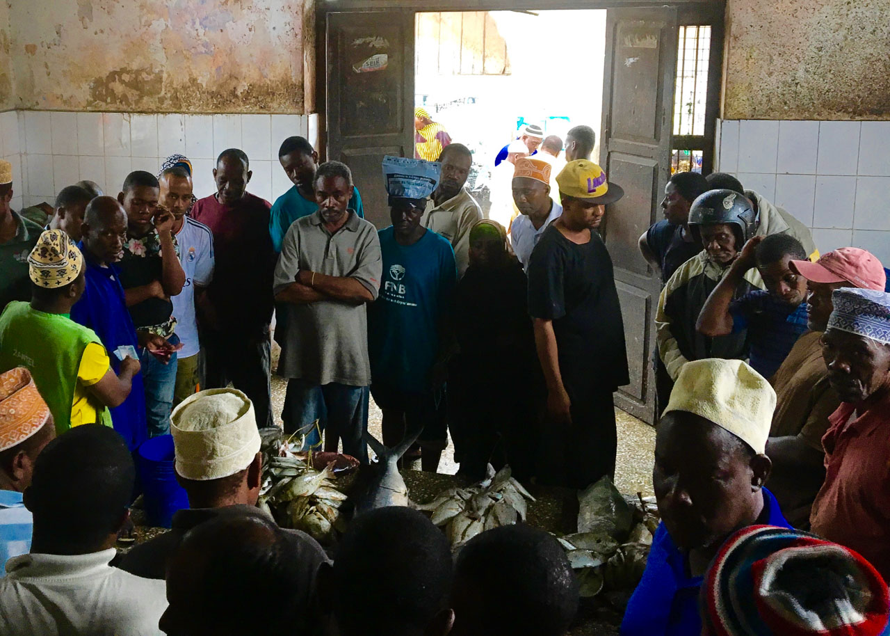 If you want to understand local life head straight to the market. This fish auction was a sight to behold! Expat Getaways - One Day in Stone Town, Zanzibar, Tanzania. 