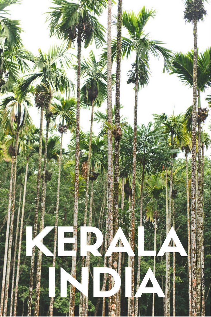 Palm trees, tropical beaches, exotic food and culture. It's time to explore Kerala India. Use Indian Summer House as your base for Kerala Accommodation. Expat Getaways - One Week in Kerala, India.