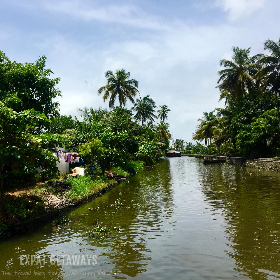 Many canals and interconnected lakes make up the Kerala Backwaters near Alleppey. Expat Getaways - One Week in Kerala, India. 