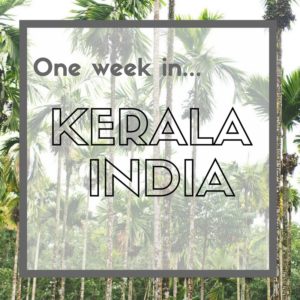 One Week in Kerala - India