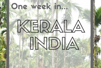 One Week in Kerala - India